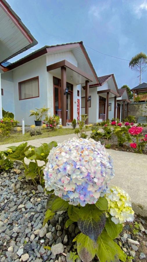 Villa Madinna Dieng Diyeng Buitenkant foto
